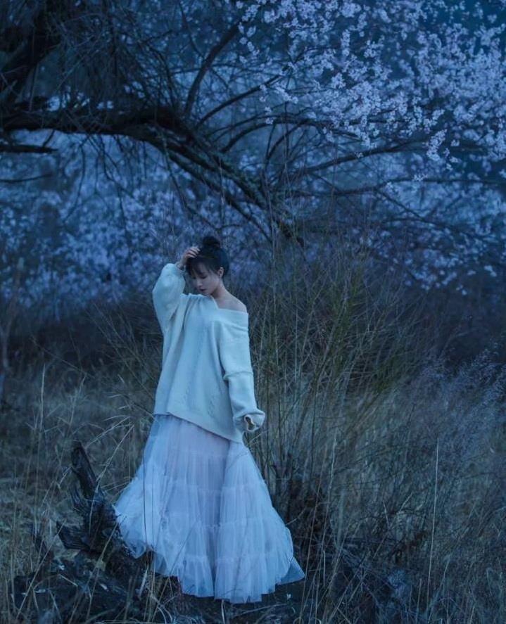 lý tử thất ảnh 4 ly tu that anh 4