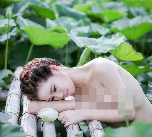 chụp ảnh phản cảm với hoa sen ảnh 5 chup anh phan cam voi hoa sen anh 5