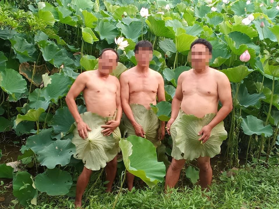 chụp ảnh phản cảm với hoa sen ảnh 1 chup anh phan cam voi hoa sen anh 1