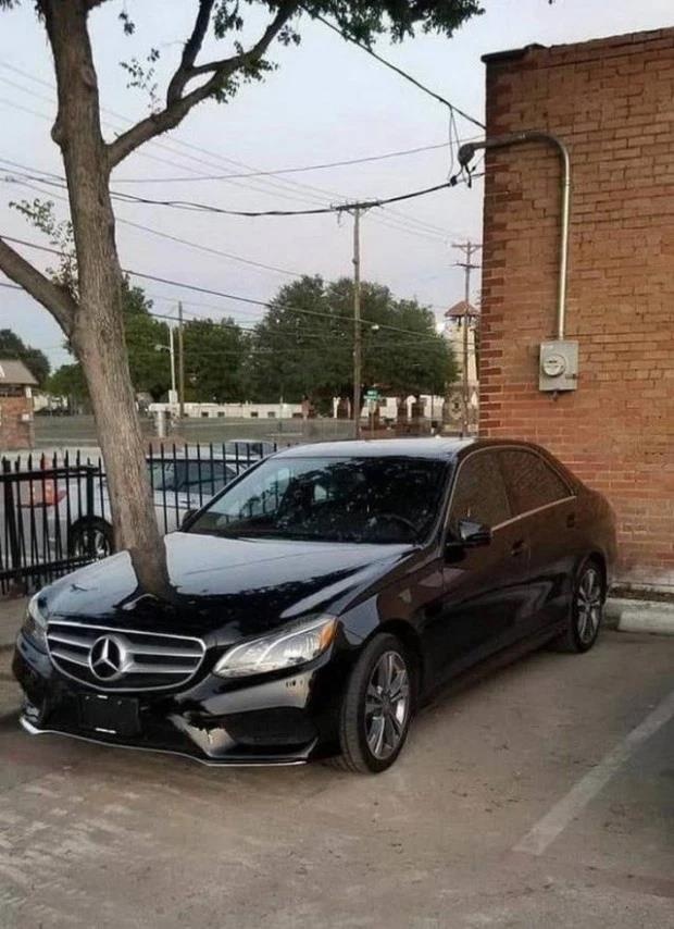 anh danh lua thi giac anh 5