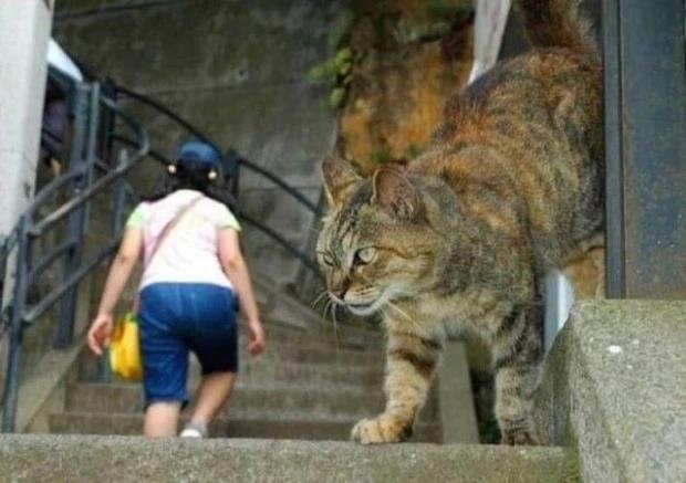 anh danh lua thi giac anh 3