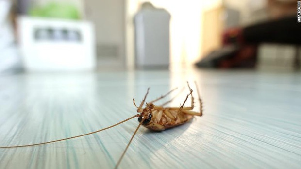 qua tang valentine 2020 anh 8