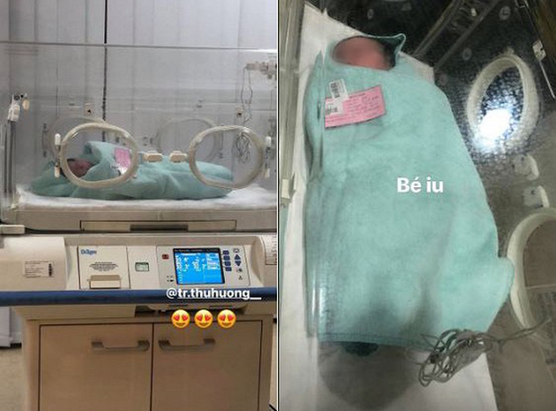 co dau 200 cay vang anh 1