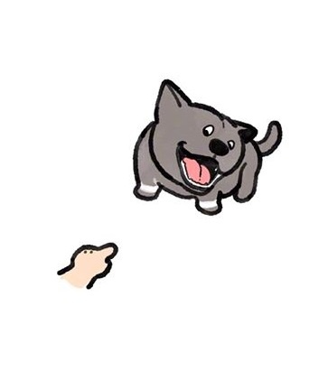 chú chó tên Dúi ảnh 5 chu cho ten Dui anh 5