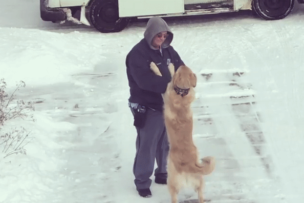 Chu cho doi truoc cua nha moi ngay de duoc om nguoi dua thu hinh anh