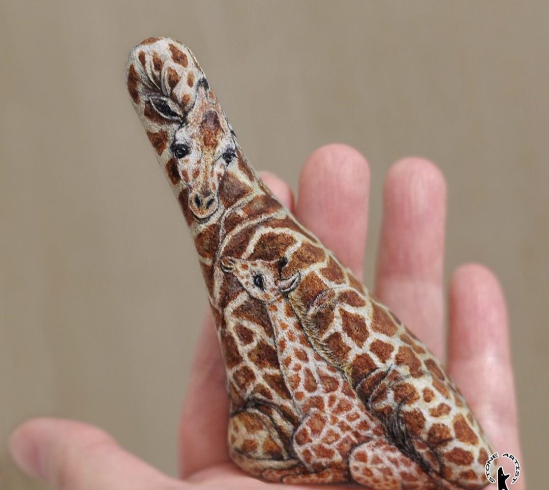 ve hinh dong vat len da anh 7