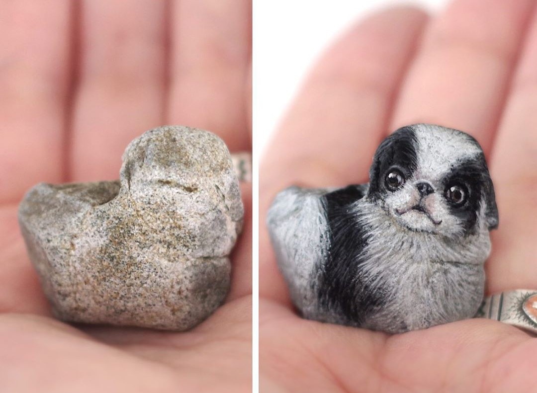 ve hinh dong vat len da anh 5