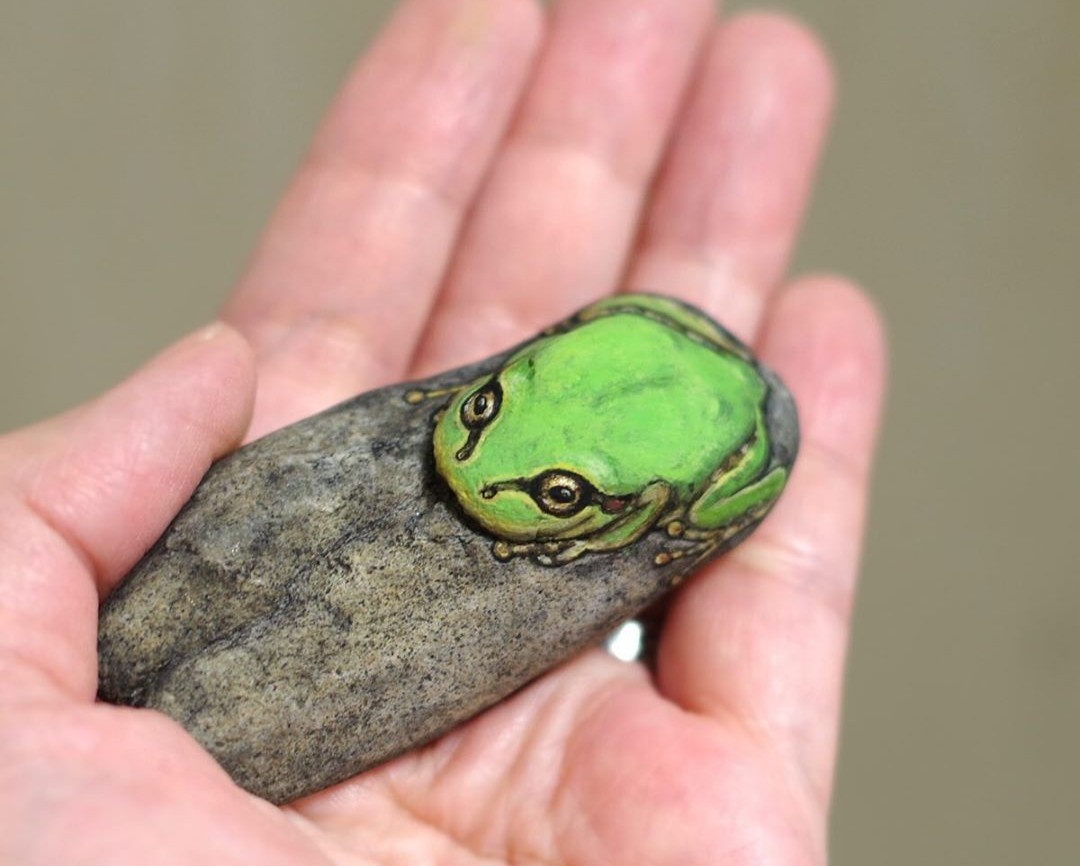 ve hinh dong vat len da anh 6