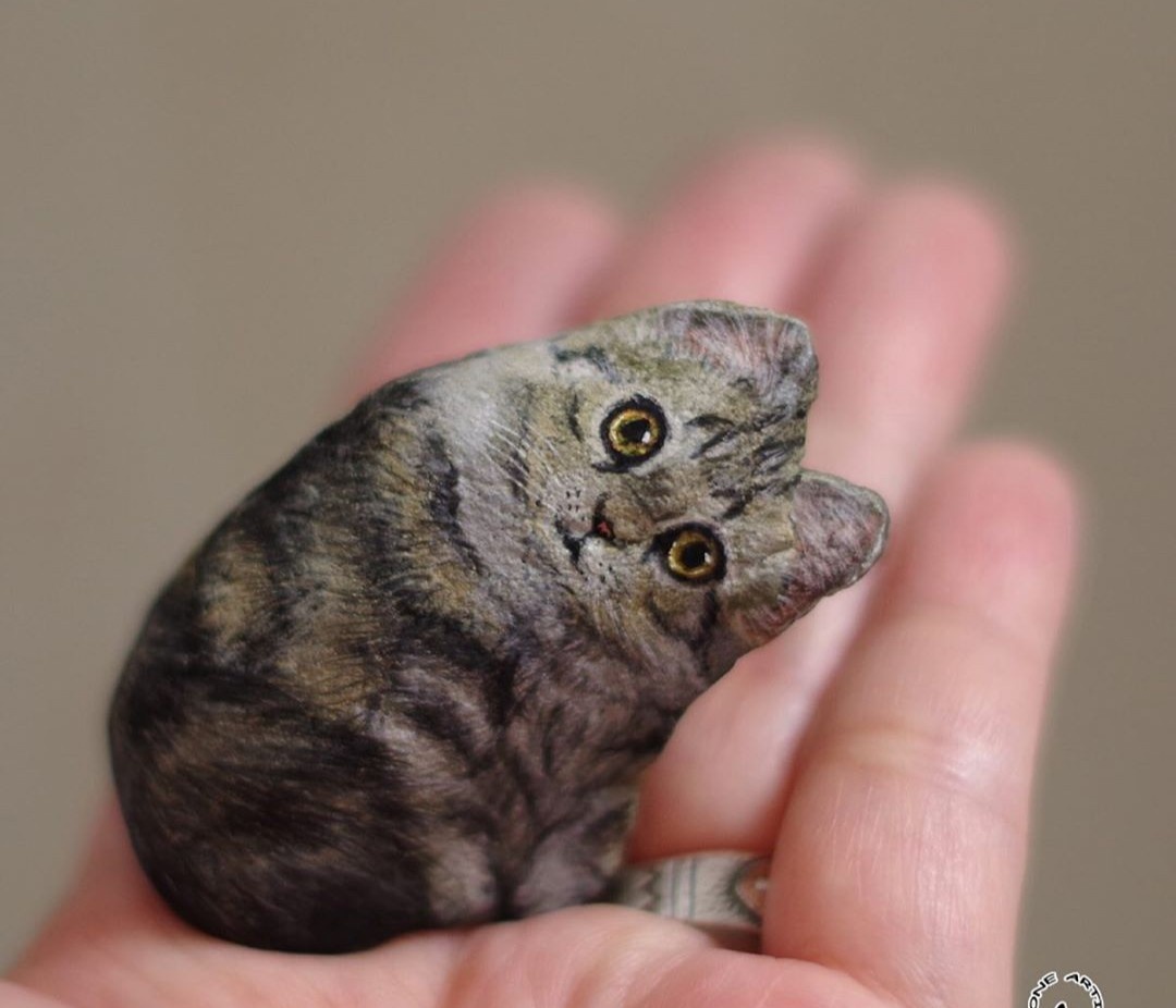 ve hinh dong vat len da anh 4