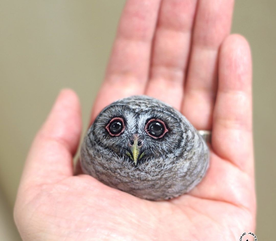 ve hinh dong vat len da anh 2