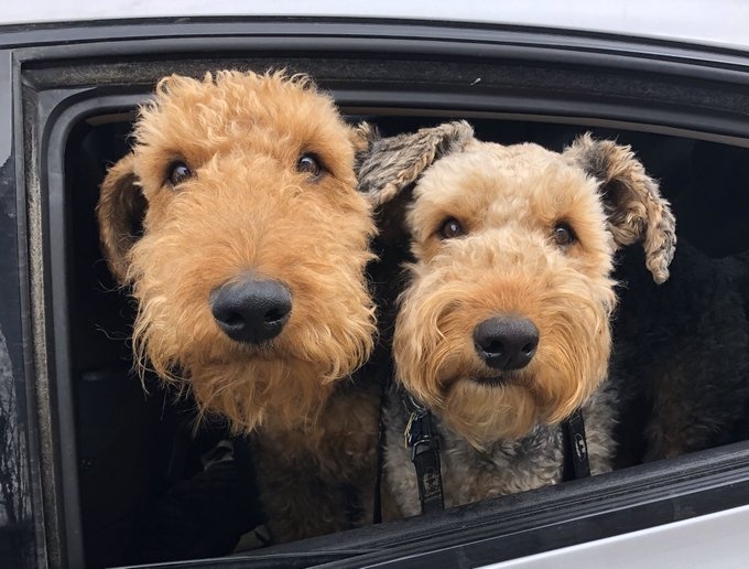 trao luu mua dich anh 5