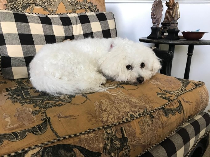 trao luu mua dich anh 6