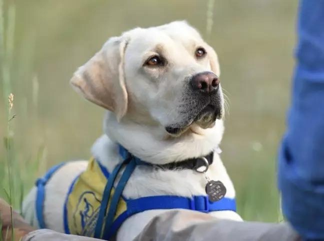 cho tri lieu cho nhan vien y te anh 2