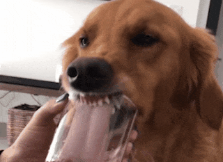 Nhung khoanh khac 'cuoi ra nuoc mat' voi hoi thu cung hinh anh