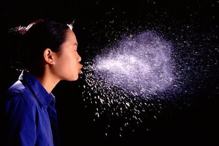 Hau toa vi co tinh hat hoi vao nguoi khac mua dich hinh anh