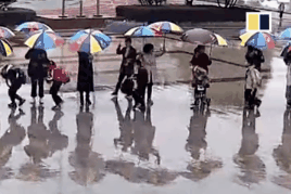 30 giao vien cam o xep hang che mua cho 900 hoc sinh hinh anh