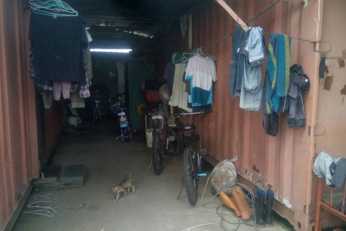 dan nhap cu mua dich anh 1