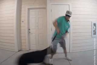 Nguoi dan ong bao hanh cho cung de tra thu ban gai cu hinh anh