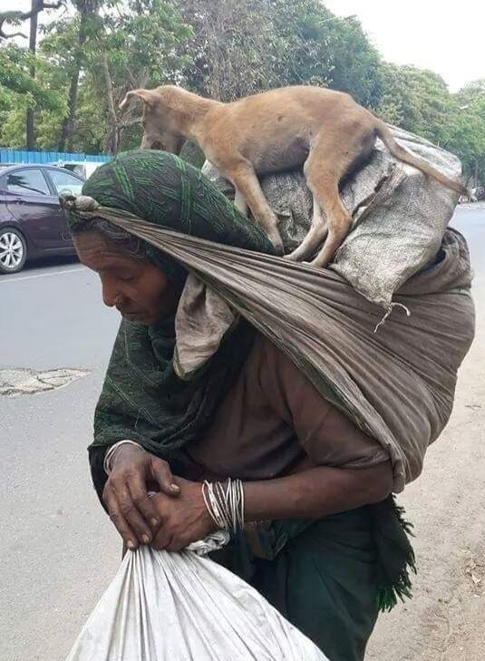 cong cho tren lung anh 1