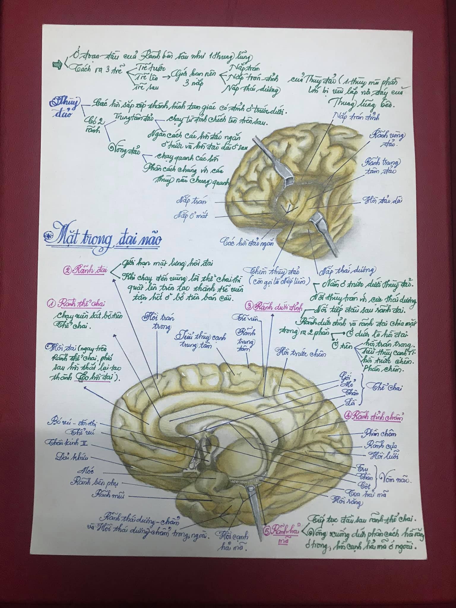 chàng trai vẽ tranh cơ thể người ảnh 2 chang trai ve tranh co the nguoi anh 2