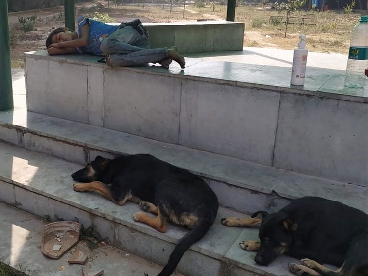 cau be doan tu bo me mua dich anh 1