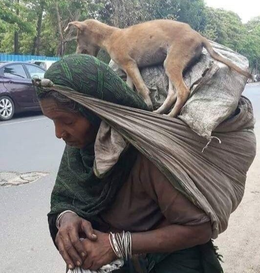 lao dong An Do mac ket do dich anh 1