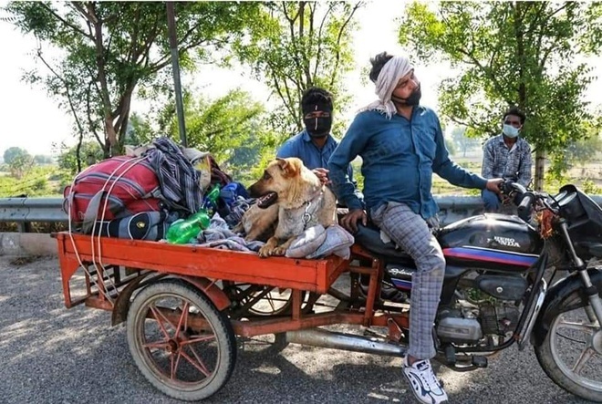 lao dong An Do mac ket do dich anh 2