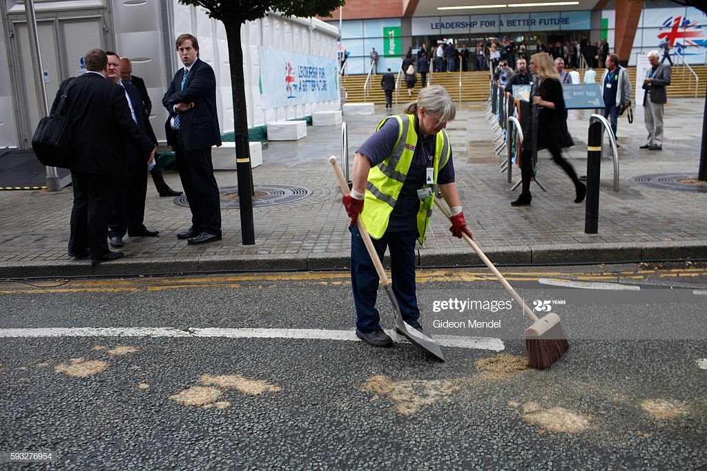 don phan ngua ky binh anh 2