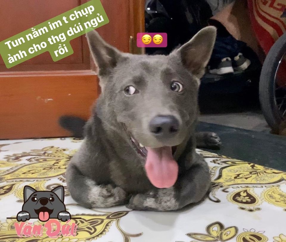 chu cho Nguyen Van Dui anh 7