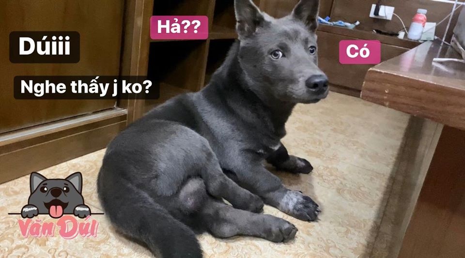 chu cho Nguyen Van Dui anh 8