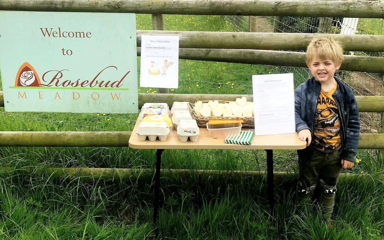 sap hang trung thuc cua be 5 tuoi anh 1