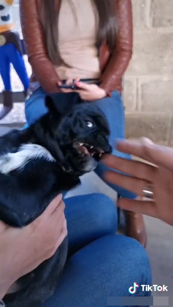 noi dung doc hai tren tiktok anh 9