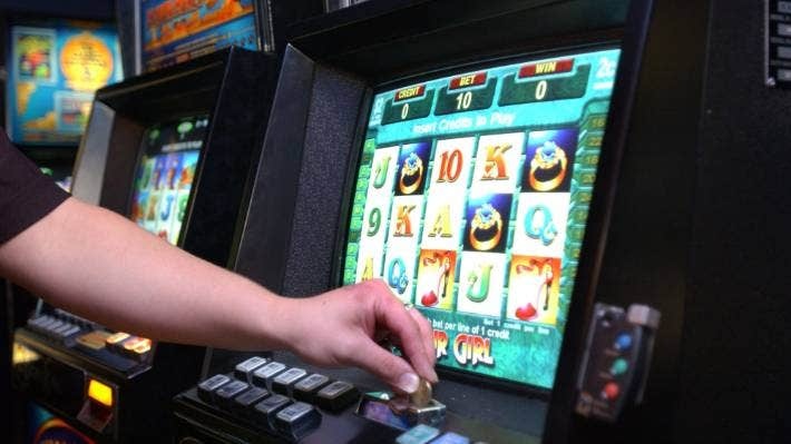 bo con trong xe hoi di danh bac anh 2