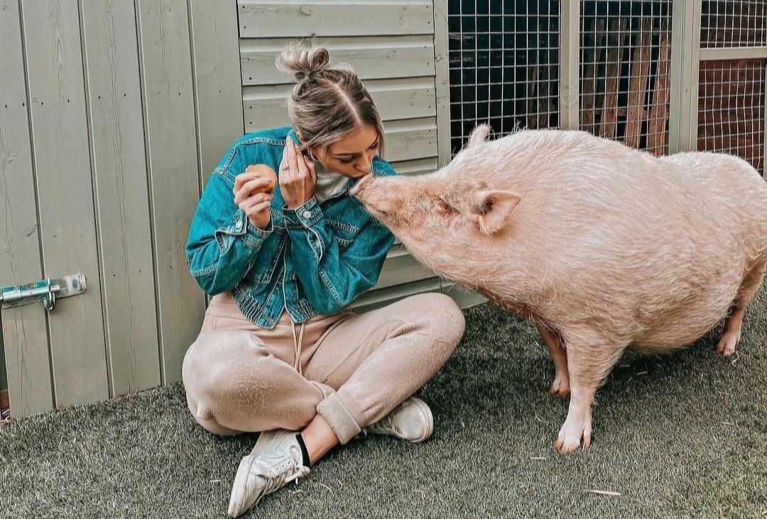 Co gai Anh song cung lon cung 80 kg hinh anh