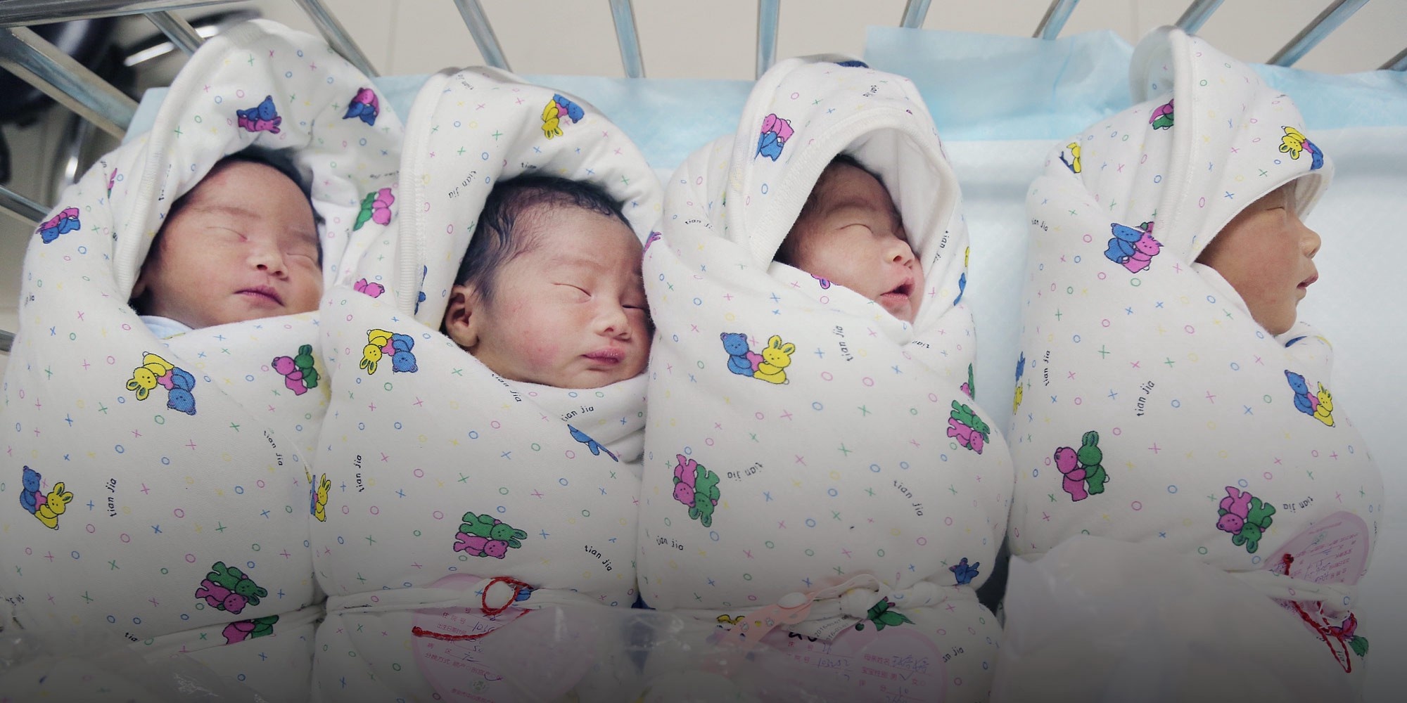 nuoi con gai la thua lo anh 1