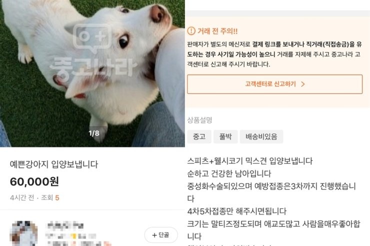 ban hang cam tren mang Han Quoc anh 1