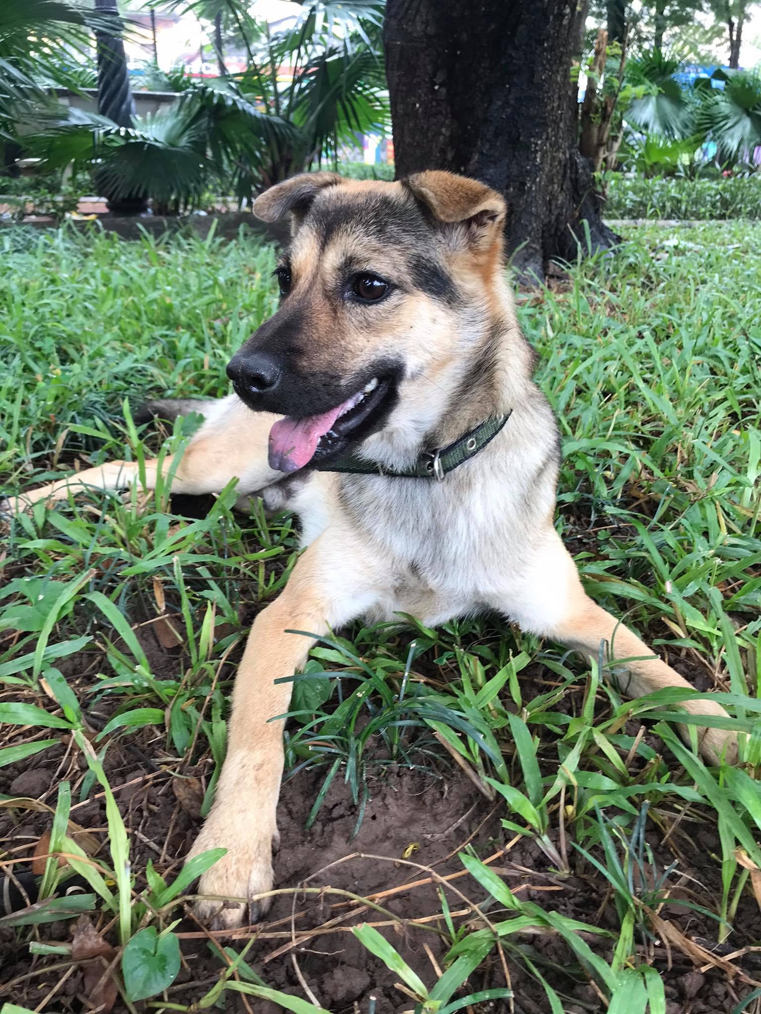 bỏ mặc bạn gái sau tai nạn ảnh 4 bo mac ban gai sau tai nan anh 4