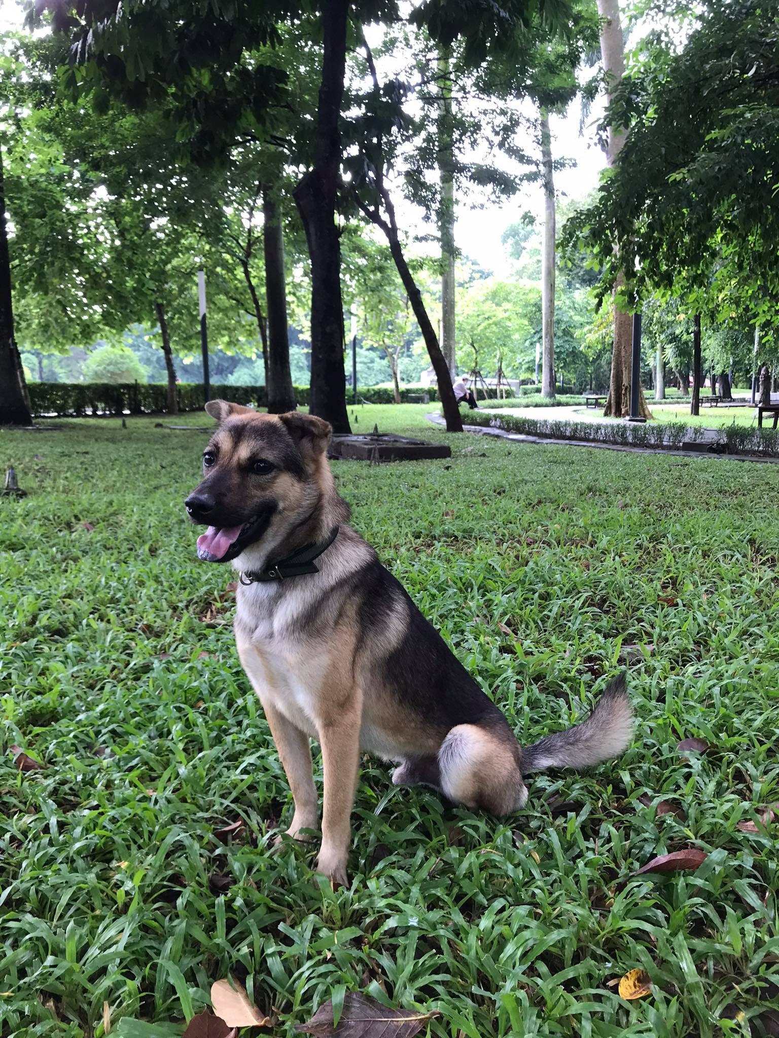 bỏ mặc bạn gái sau tai nạn ảnh 3 bo mac ban gai sau tai nan anh 3