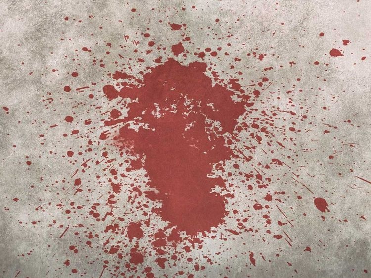 chong An Do bi vo bao hanh anh 1