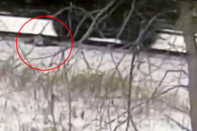 cậu bé nhảy khỏi tàu hỏa ảnh 3 cau be nhay khoi tau hoa anh 3