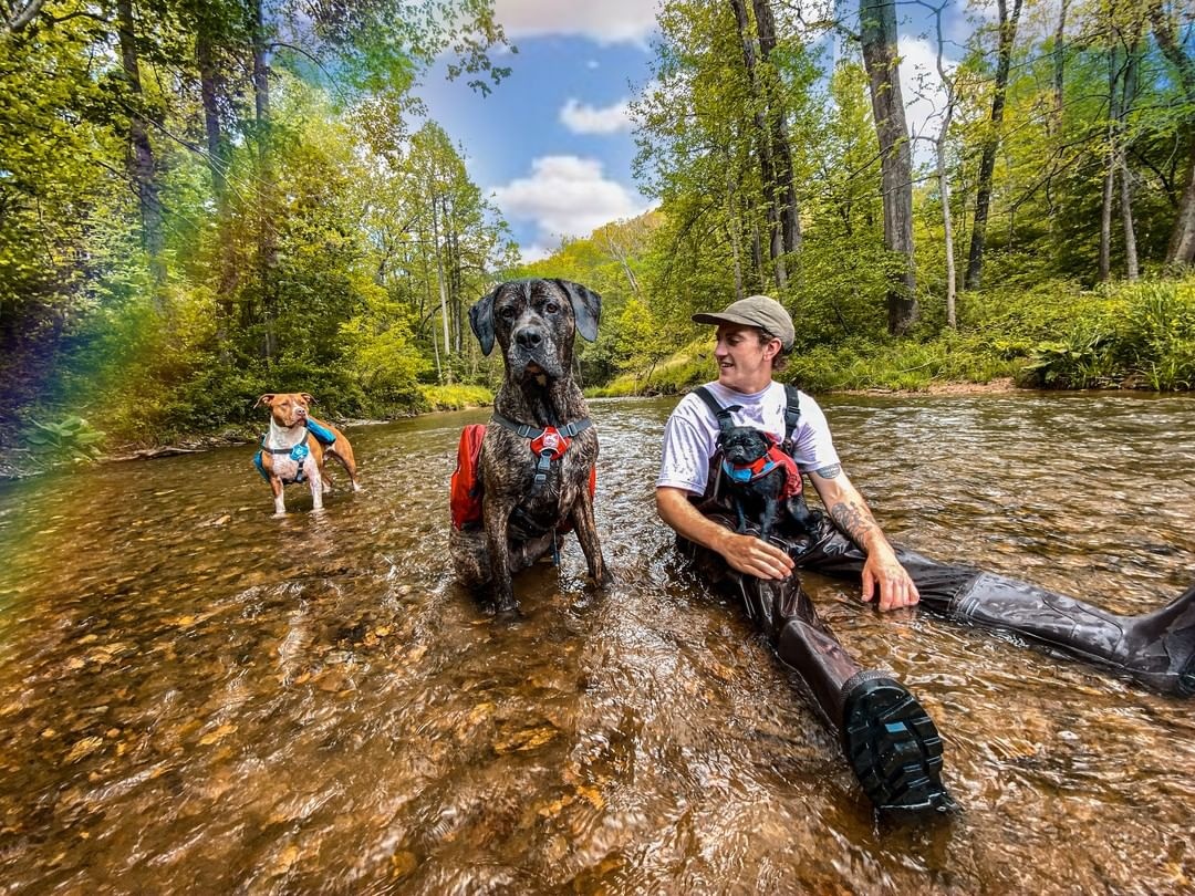 doi tre bo viec di du lich anh 1