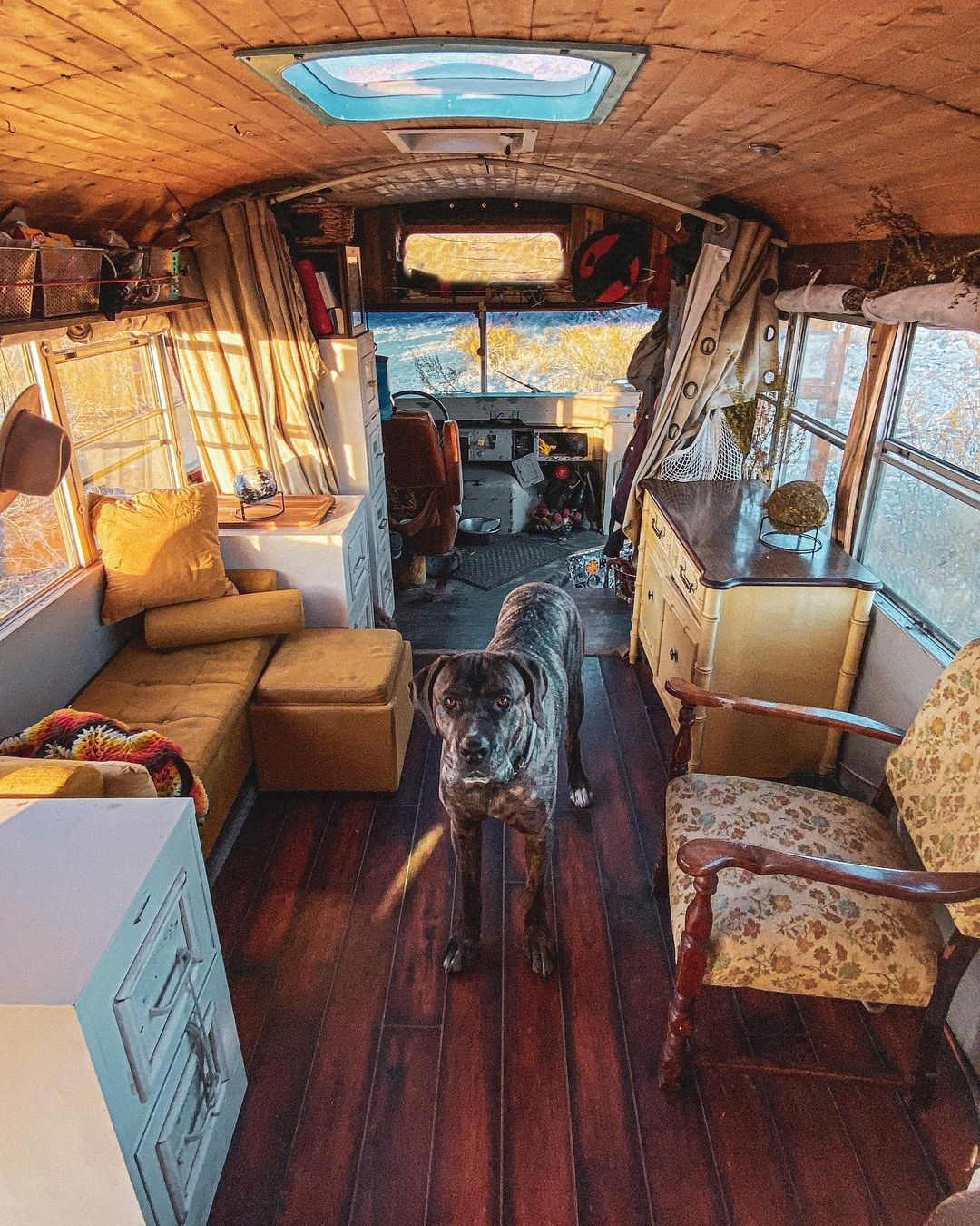 đôi trẻ bỏ việc đi du lịch ảnh 2 doi tre bo viec di du lich anh 2