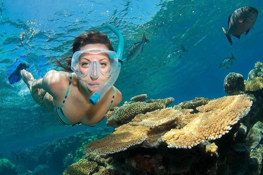 Australia tang nguoi dan phieu giam gia de di du lich hinh anh