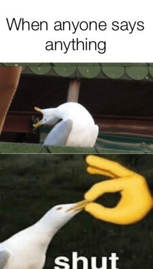 nguon goc meme chim mong bien anh 3