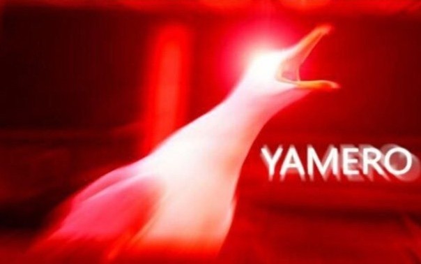 Chim mong bien thanh meme noi tieng mang xa hoi hinh anh