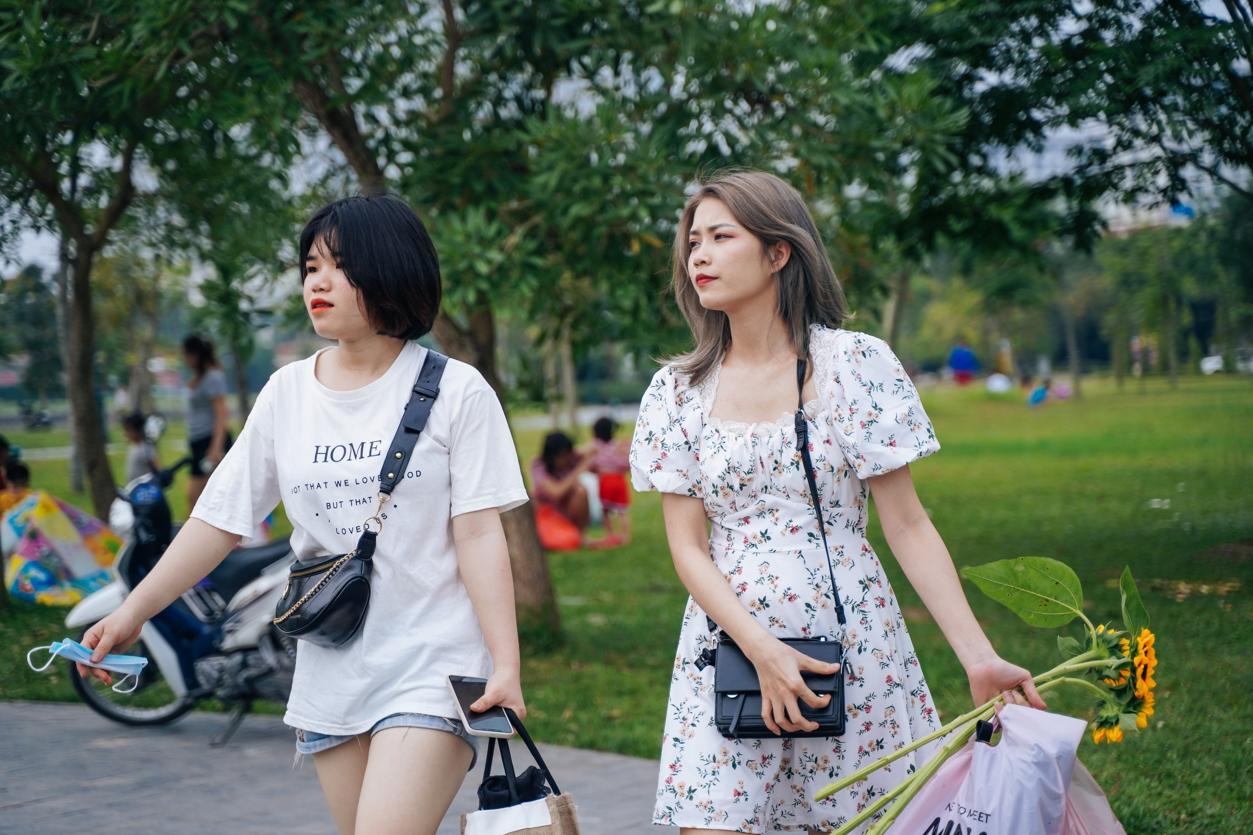 ho dieu hoa thanh pho giao luu ngay le anh 10