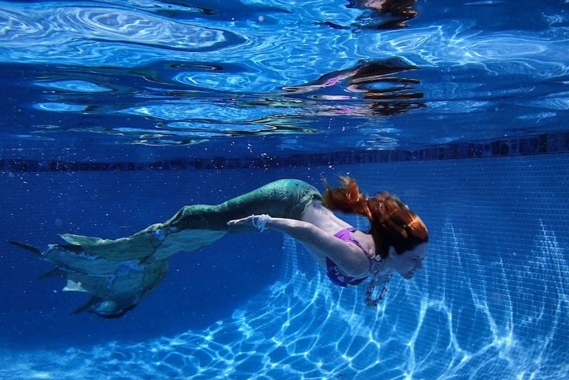 Khoa hoc lam 'tien ca' duoc san don o Trung Quoc hinh anh