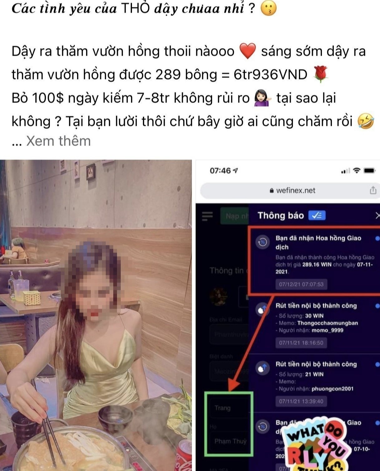 thành viên pocinex ảnh 3 thanh vien pocinex anh 3