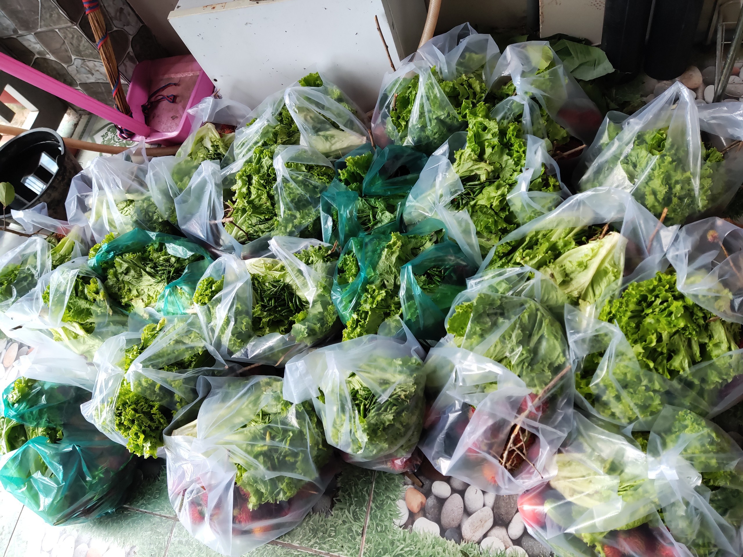 tặng rau củ cho người lạ ở Bình Dương ảnh 2 tang rau cu cho nguoi la o Binh Duong anh 2