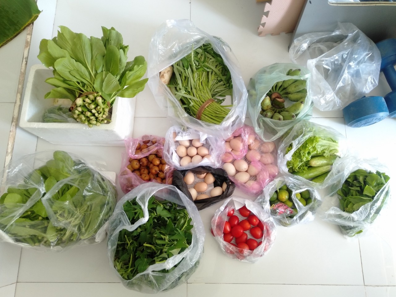 trong rau tang hang xom anh 4